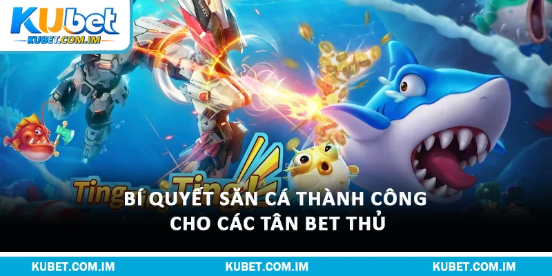 Bí quyết săn cá thành công cho các tân bet thủ