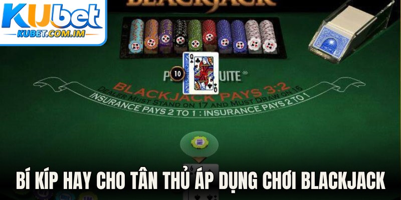 Tổng hợp bí kíp hay cho tân thủ áp dụng chơi blackjack